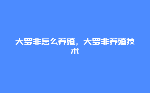 大罗非怎么养殖，大罗非养殖技术