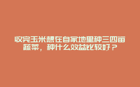 收完玉米想在自家地里种三四亩蔬菜，种什么效益比较好？