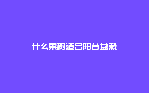 什么果树适合阳台盆栽