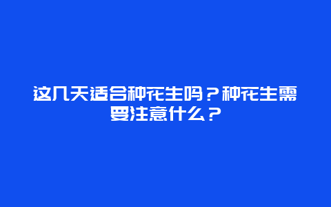 这几天适合种花生吗？种花生需要注意什么？