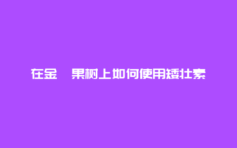 在金桔果树上如何使用矮壮素