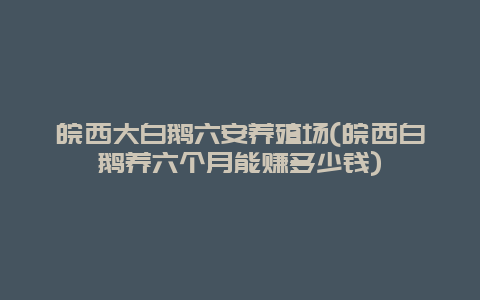 皖西大白鹅六安养殖场(皖西白鹅养六个月能赚多少钱)