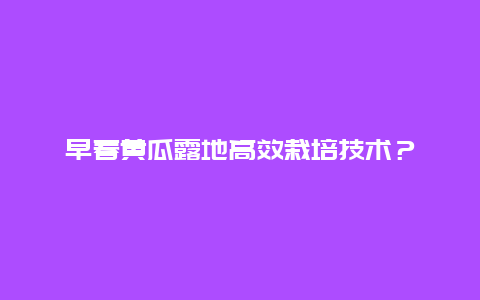 早春黄瓜露地高效栽培技术？