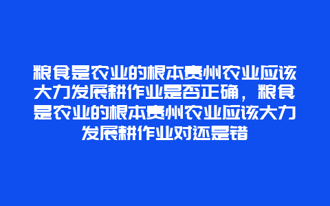 粮食是农业的根本贵州农业应该大力发展耕作业是否正确，粮食是农业的根本贵州农业应该大力发展耕作业对还是错