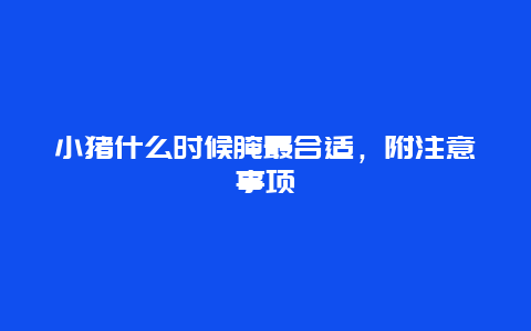 小猪什么时候腌最合适，附注意事项