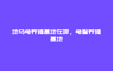 地乌龟养殖基地在哪，龟鳖养殖基地