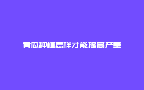 黄瓜种植怎样才能提高产量