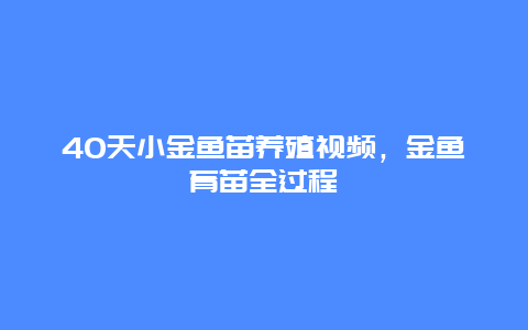 40天小金鱼苗养殖视频，金鱼育苗全过程