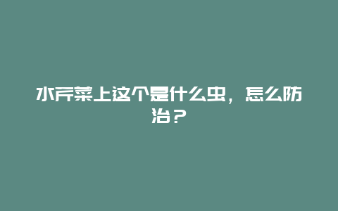 水芹菜上这个是什么虫，怎么防治？