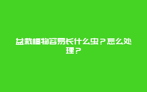 盆栽植物容易长什么虫？怎么处理？