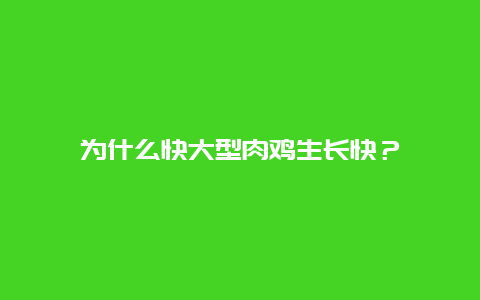 为什么快大型肉鸡生长快？