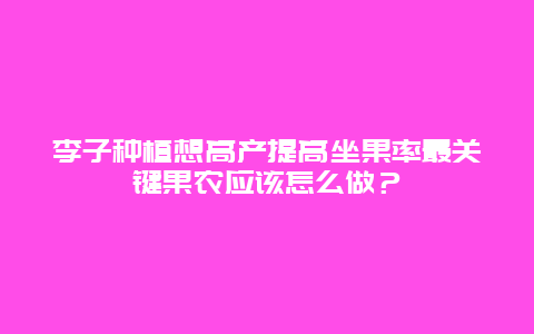 李子种植想高产提高坐果率最关键果农应该怎么做？