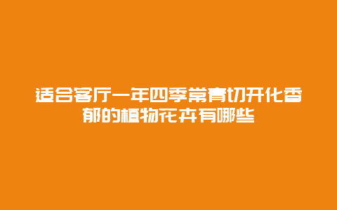 适合客厅一年四季常青切开化香郁的植物花卉有哪些