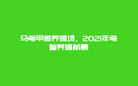 乌龟甲鱼养殖场，2021年龟鳖养殖前景