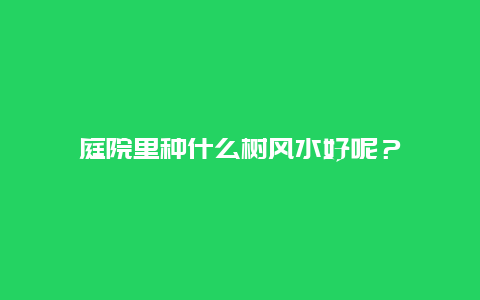 庭院里种什么树风水好呢？