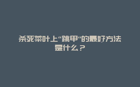 杀死菜叶上“跳甲“的最好方法是什么？