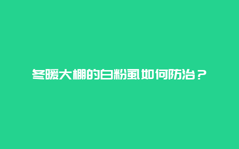 冬暖大棚的白粉虱如何防治？