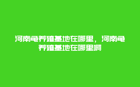 河南龟养殖基地在哪里，河南龟养殖基地在哪里啊