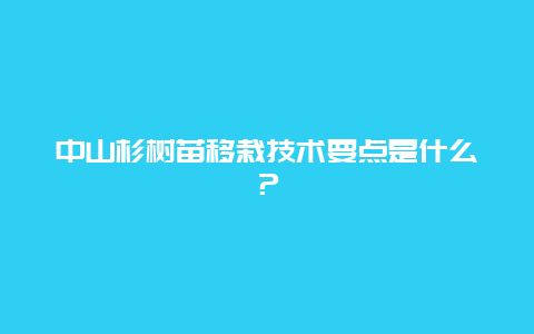 中山杉树苗移栽技术要点是什么？