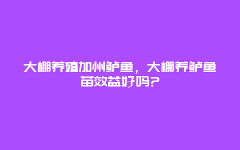 大棚养殖加州鲈鱼，大棚养鲈鱼苗效益好吗?