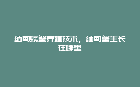 缅甸螃蟹养殖技术，缅甸蟹生长在哪里