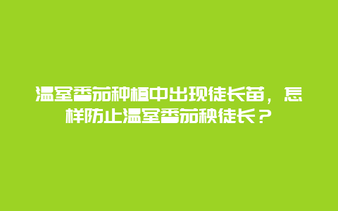 温室番茄种植中出现徒长苗，怎样防止温室番茄秧徒长？