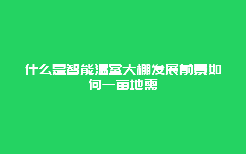 什么是智能温室大棚发展前景如何一亩地需