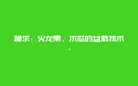 跪求：火龙果、木瓜的盆栽技术。