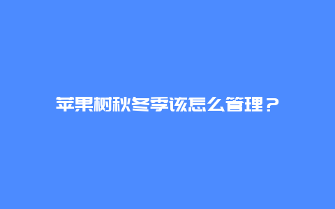 苹果树秋冬季该怎么管理？