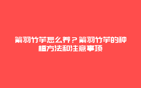 箭羽竹芋怎么养？箭羽竹芋的种植方法和注意事项