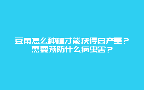 豆角怎么种植才能获得高产量？需要预防什么病虫害？