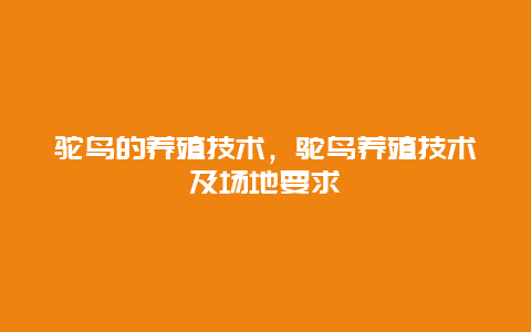 驼鸟的养殖技术，鸵鸟养殖技术及场地要求