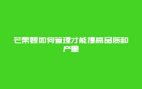 芒果要如何管理才能提高品质和产量