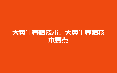 大黄牛养殖技术，大黄牛养殖技术要点