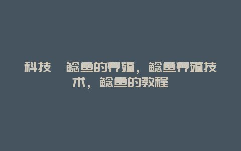 科技苑鲶鱼的养殖，鲶鱼养殖技术，鲶鱼的教程