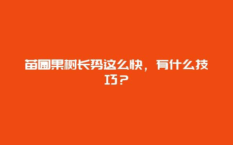 苗圃果树长势这么快，有什么技巧？