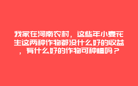 我家在河南农村，这些年小麦花生这两种作物都没什么好的收益，有什么好的作物可种植吗？