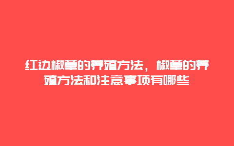 红边椒草的养殖方法，椒草的养殖方法和注意事项有哪些