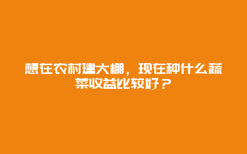 想在农村建大棚，现在种什么蔬菜收益比较好？