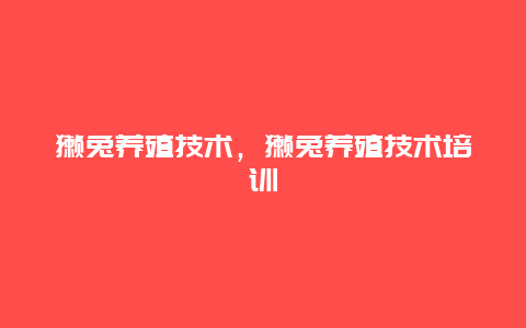 獭兔养殖技术，獭兔养殖技术培训