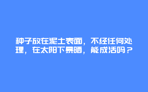 种子放在泥土表面，不经任何处理，在太阳下暴晒，能成活吗？