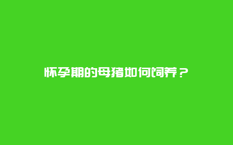 怀孕期的母猪如何饲养？