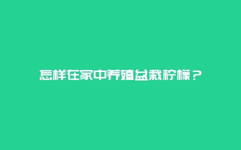 怎样在家中养殖盆栽柠檬？