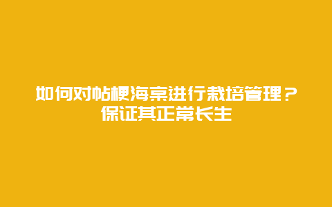 如何对帖梗海棠进行栽培管理？保证其正常长生