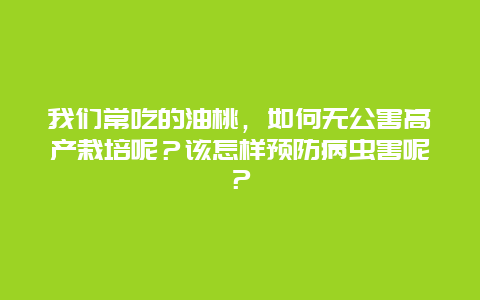 我们常吃的油桃，如何无公害高产栽培呢？该怎样预防病虫害呢？