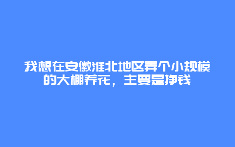 我想在安徽淮北地区弄个小规模的大棚养花，主要是挣钱