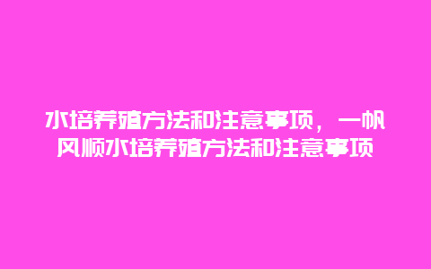 水培养殖方法和注意事项，一帆风顺水培养殖方法和注意事项