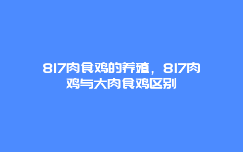 817肉食鸡的养殖，817肉鸡与大肉食鸡区别