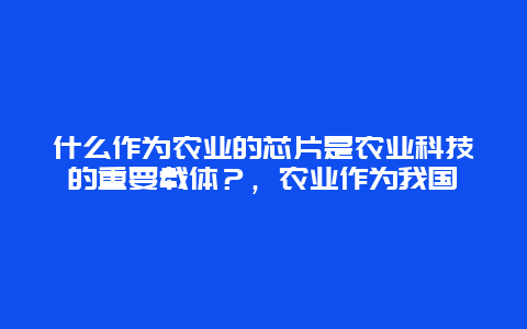 什么作为农业的芯片是农业科技的重要载体？，农业作为我国