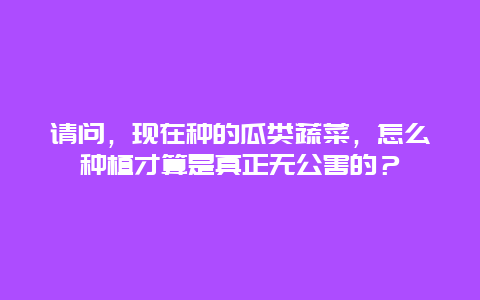 请问，现在种的瓜类蔬菜，怎么种植才算是真正无公害的？